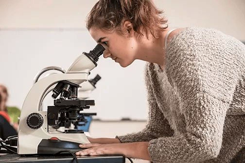 院系及课程设置